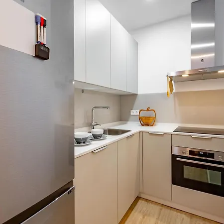 Nuevo Apartamento Clanset, Junto A Palacio Congresos